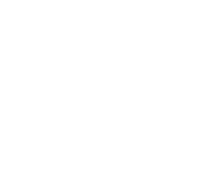 Costituenti Emiliano-romagnoli